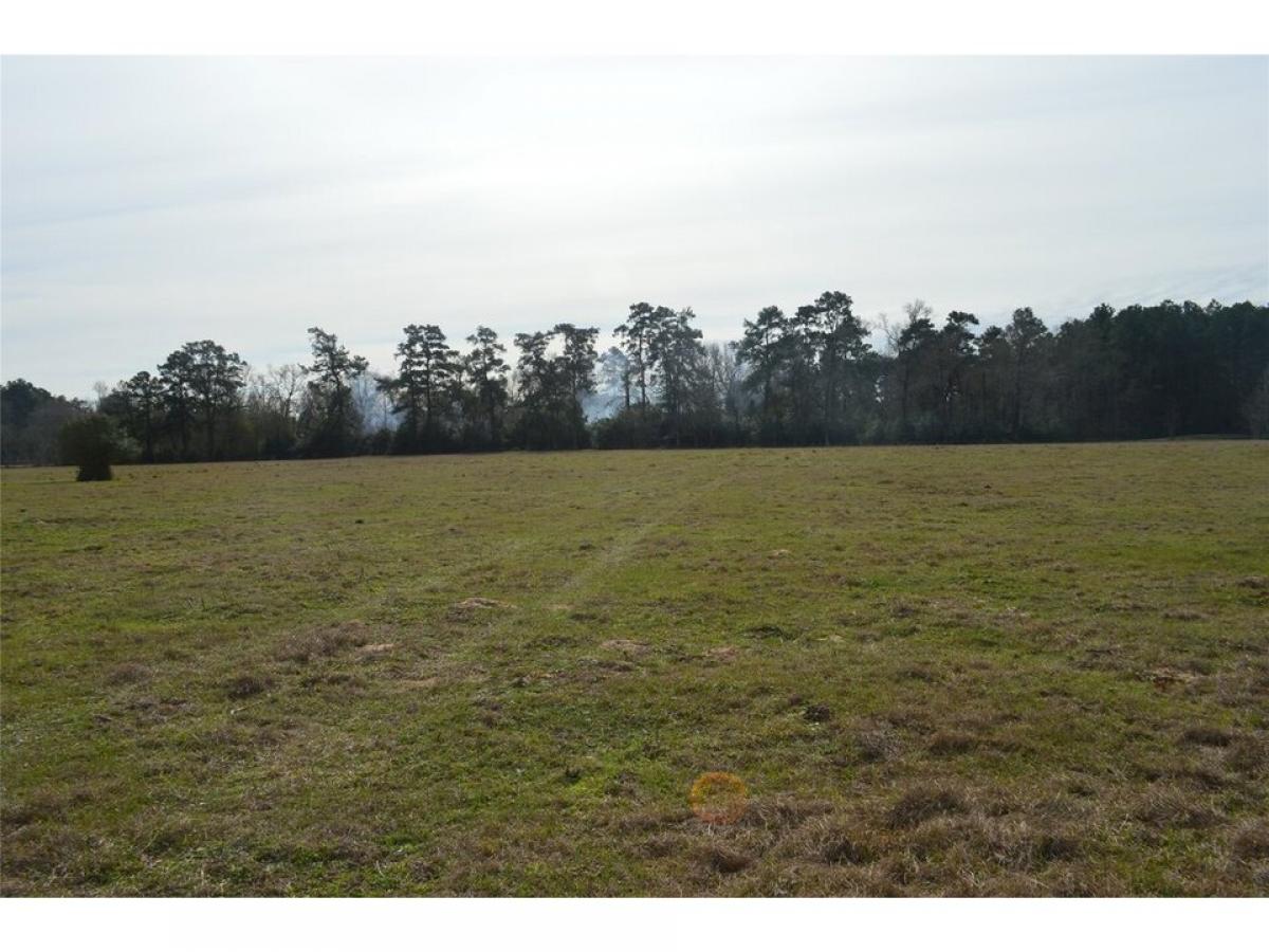 Picture of Residential Land For Sale in Conroe, Texas, United States