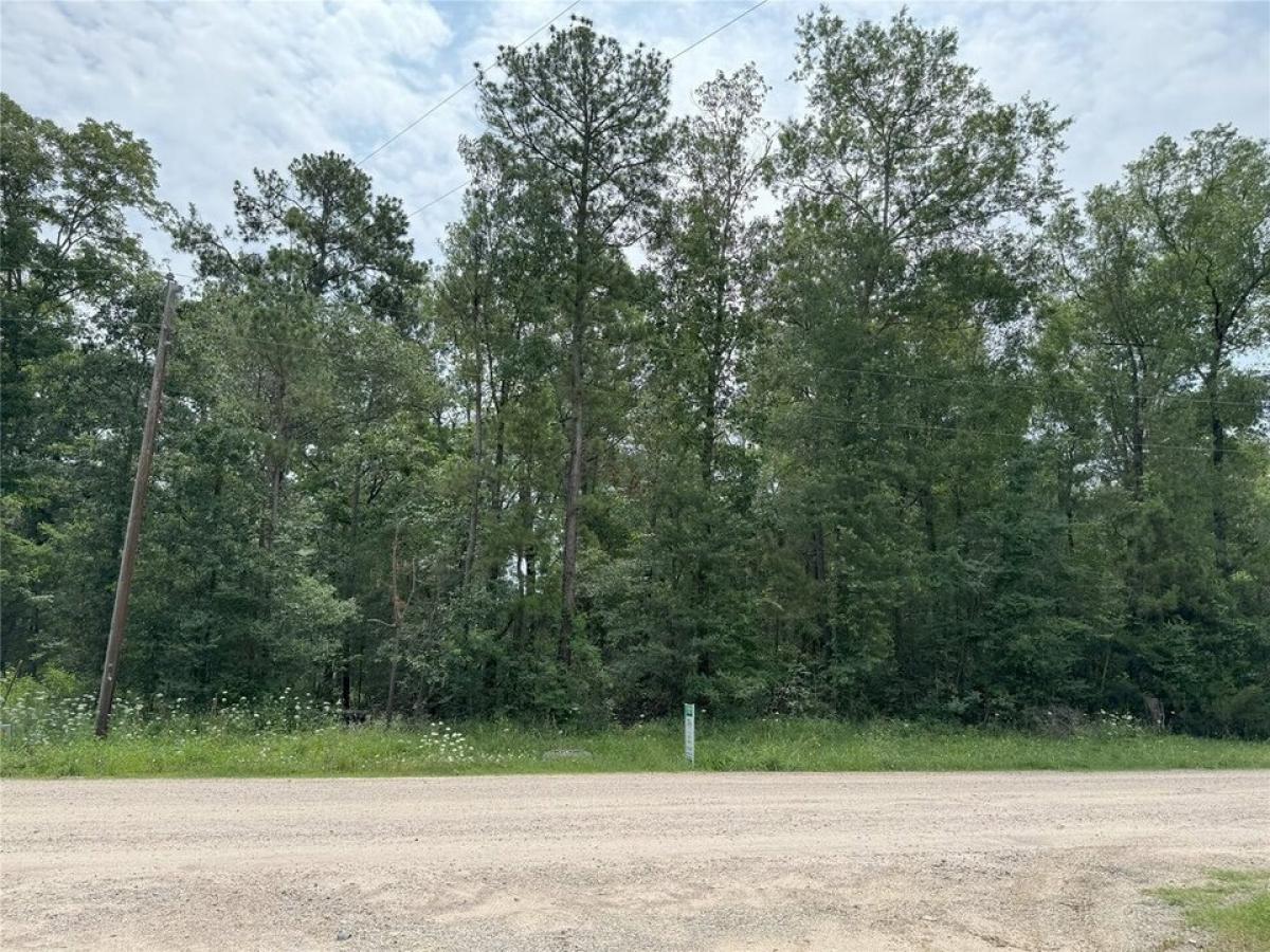 Picture of Residential Land For Sale in Livingston, Texas, United States