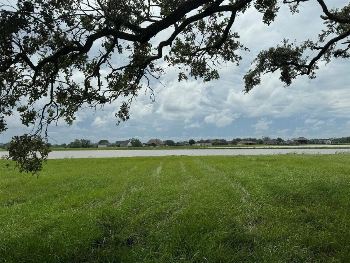 Picture of Residential Land For Sale in Rosharon, Texas, United States