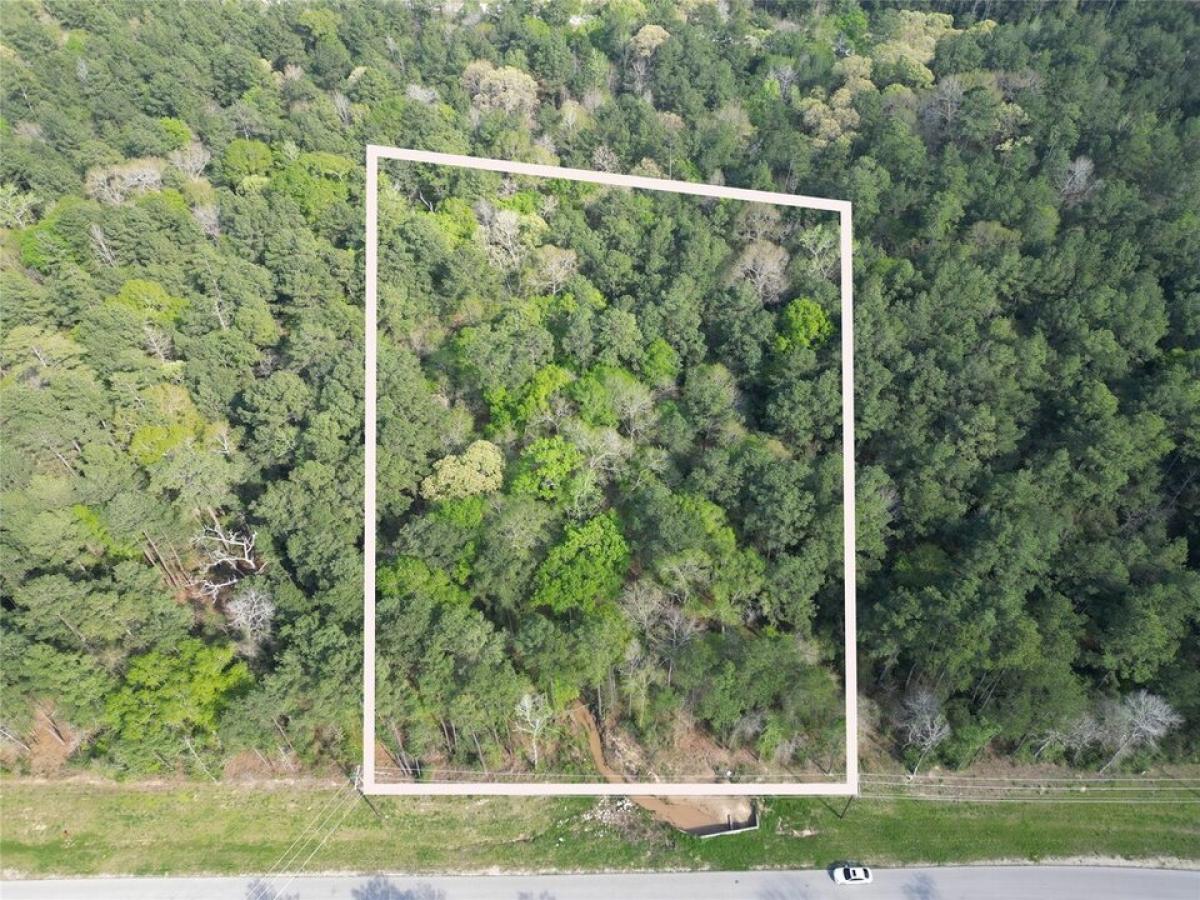 Picture of Residential Land For Sale in Huntsville, Texas, United States