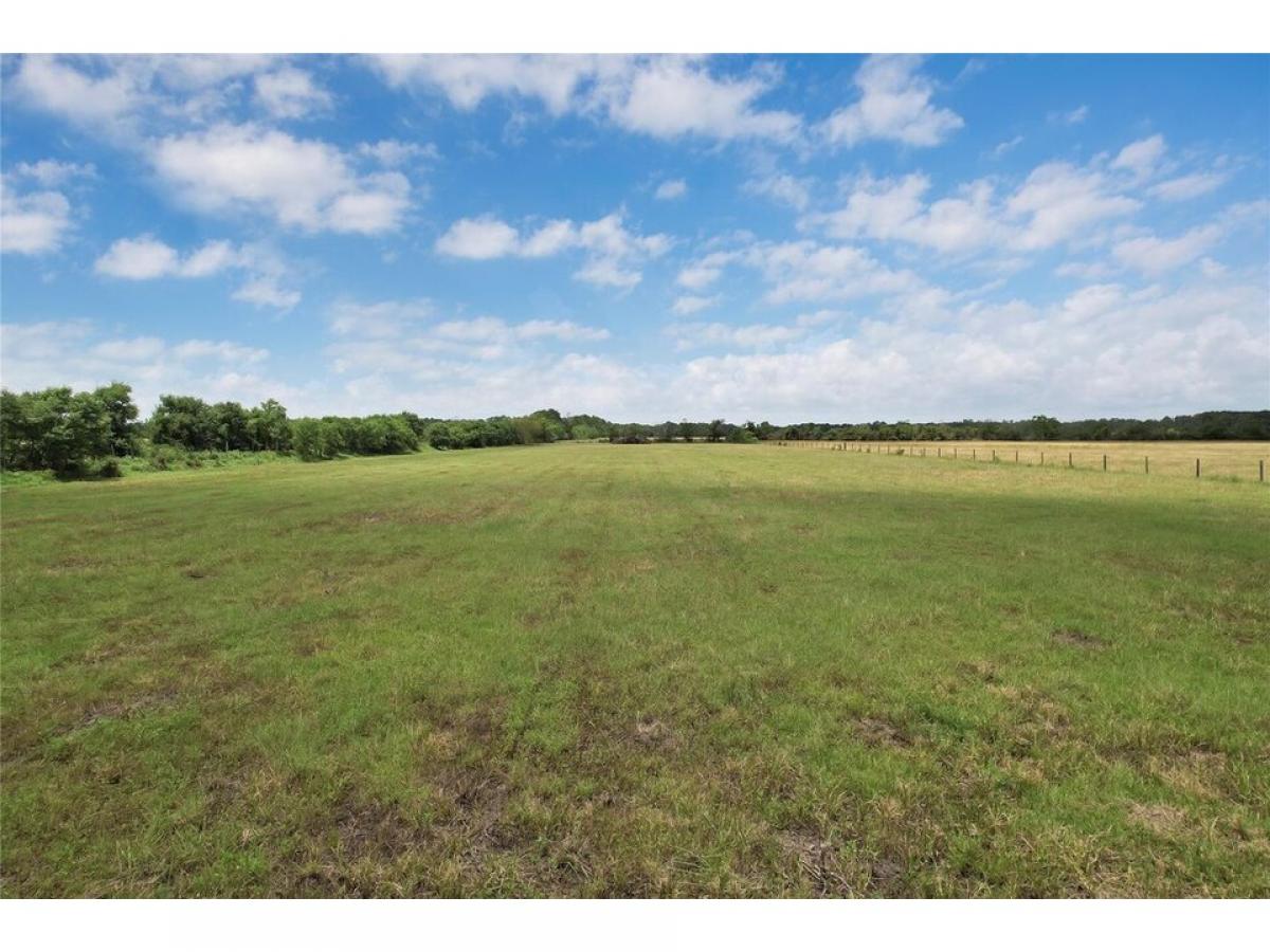 Picture of Residential Land For Sale in Anahuac, Texas, United States