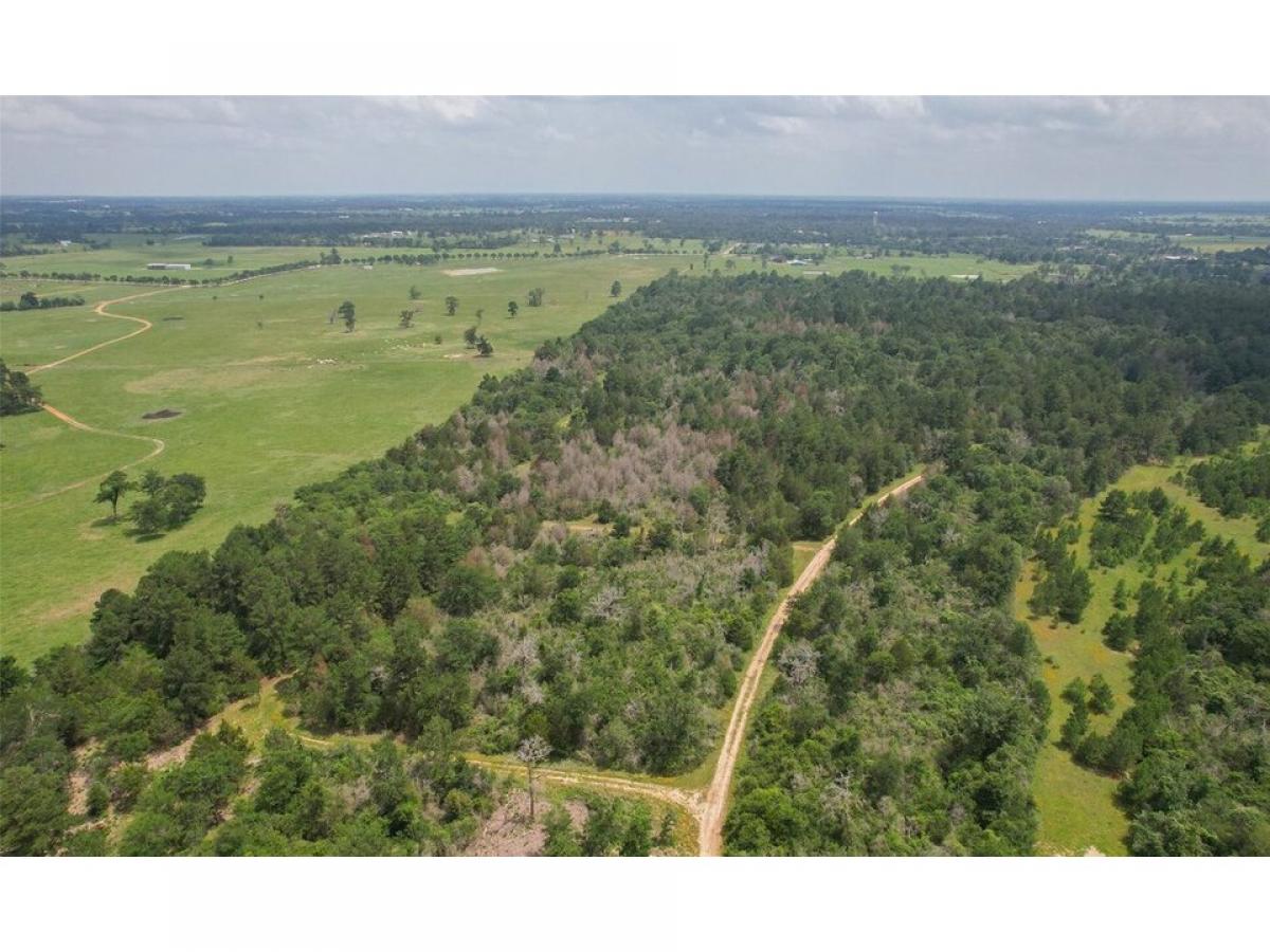 Picture of Residential Land For Sale in Hempstead, Texas, United States