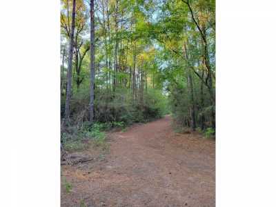 Residential Land For Sale in Plantersville, Texas