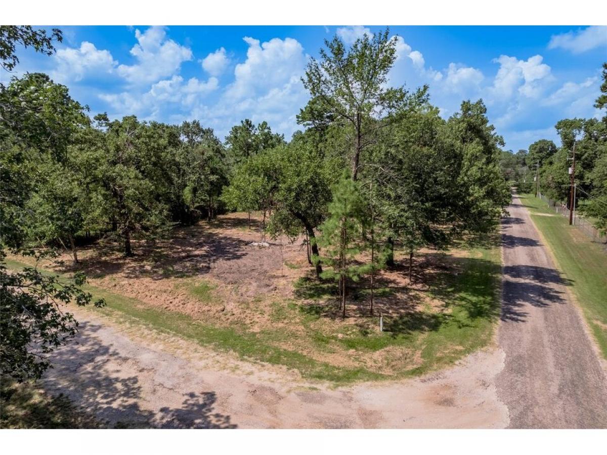 Picture of Residential Land For Sale in Trinity, Texas, United States