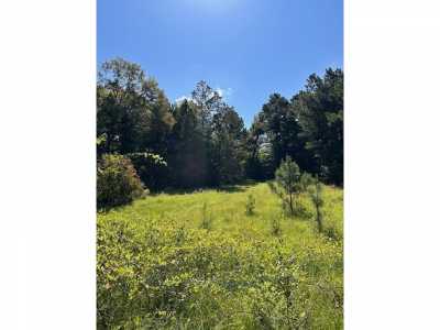 Residential Land For Sale in Grapeland, Texas