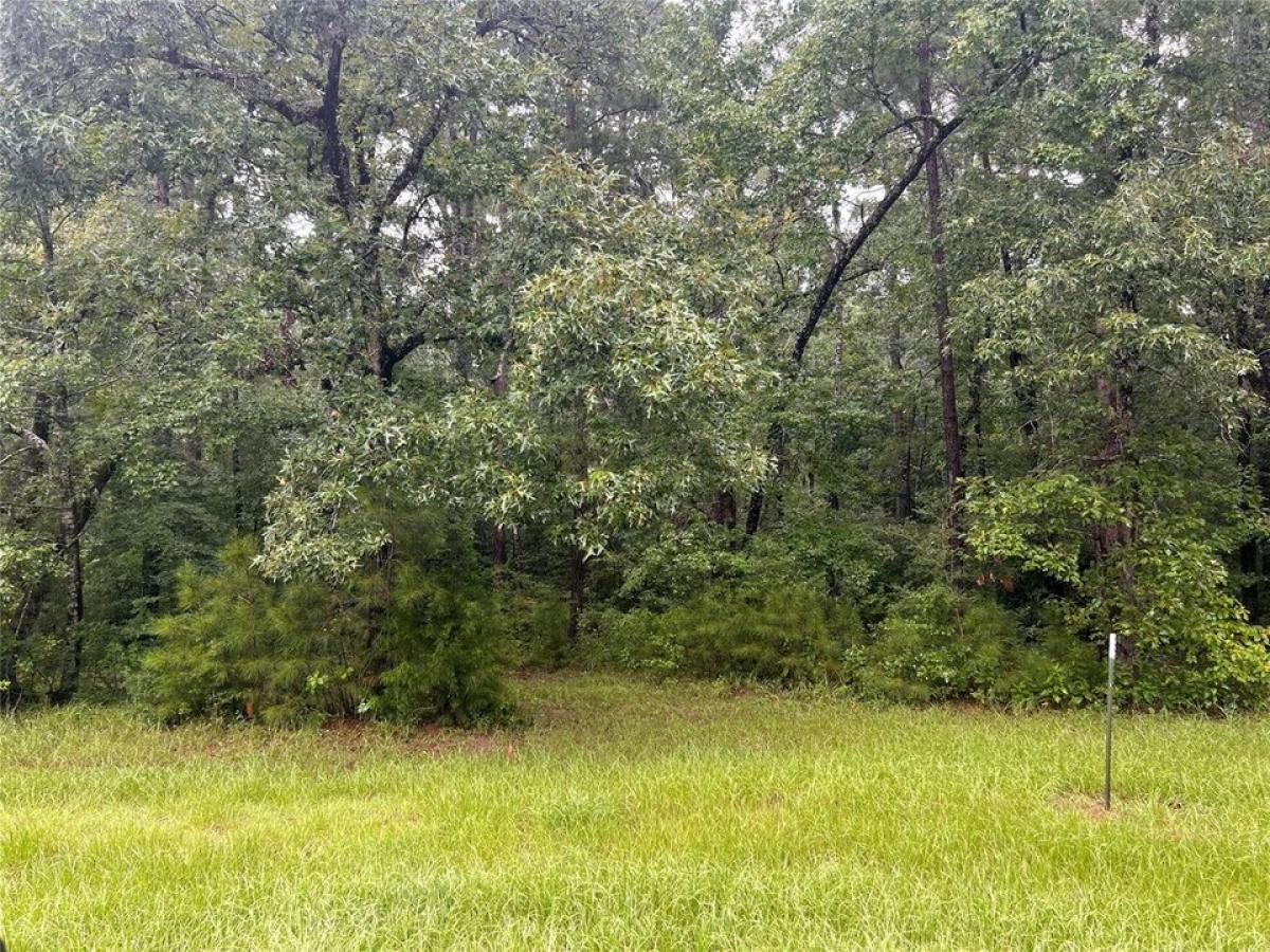 Picture of Residential Land For Sale in Huntsville, Texas, United States