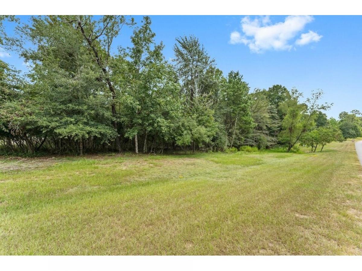 Picture of Residential Land For Sale in Montgomery, Texas, United States