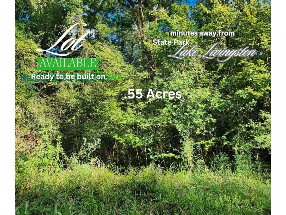 Picture of Residential Land For Sale in Coldspring, Texas, United States