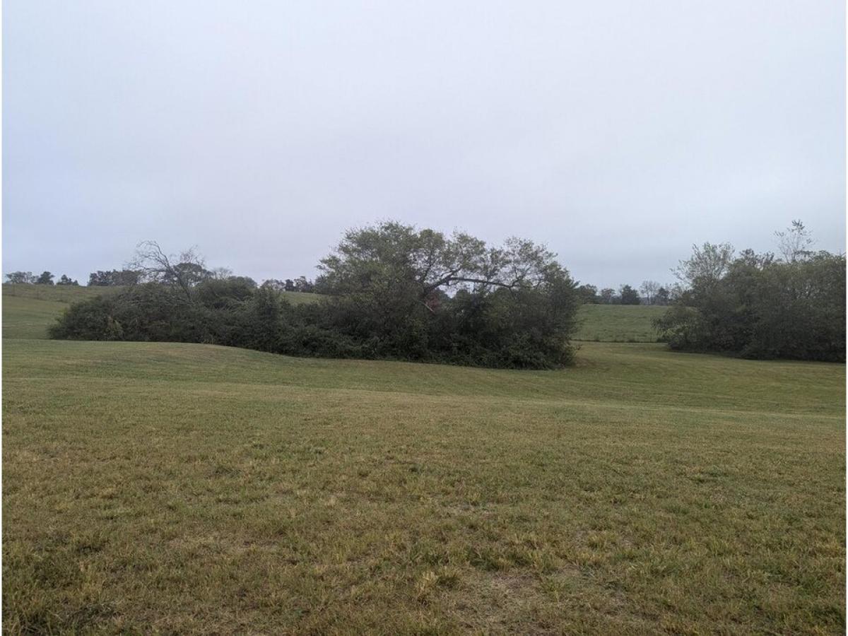 Picture of Residential Land For Sale in Jefferson City, Tennessee, United States