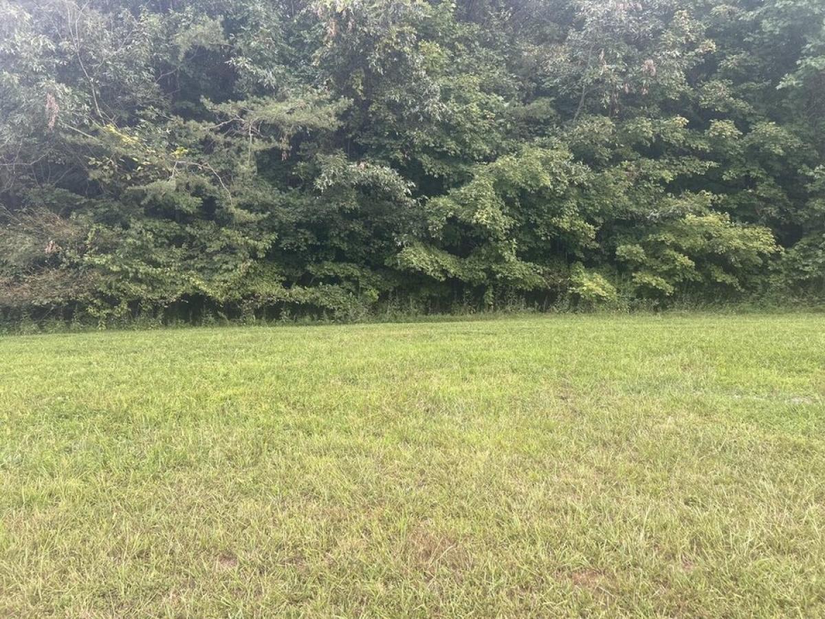 Picture of Residential Land For Sale in Vonore, Tennessee, United States