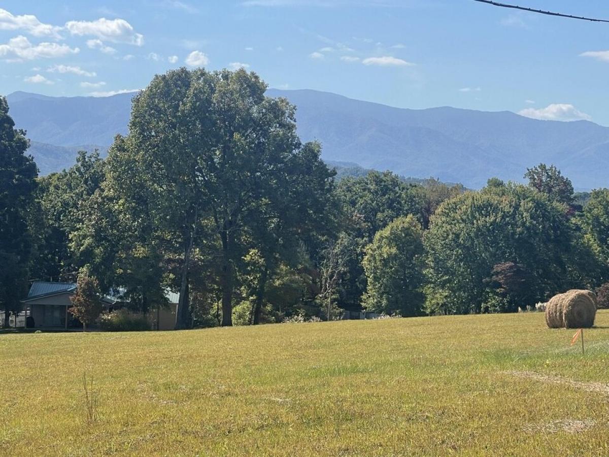 Picture of Residential Land For Sale in Newport, Tennessee, United States