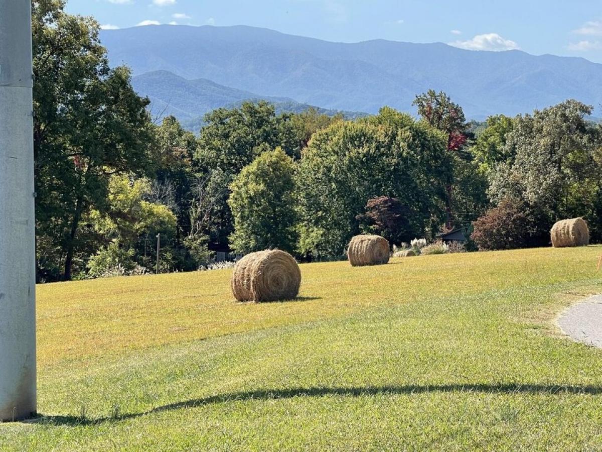 Picture of Residential Land For Sale in Newport, Tennessee, United States