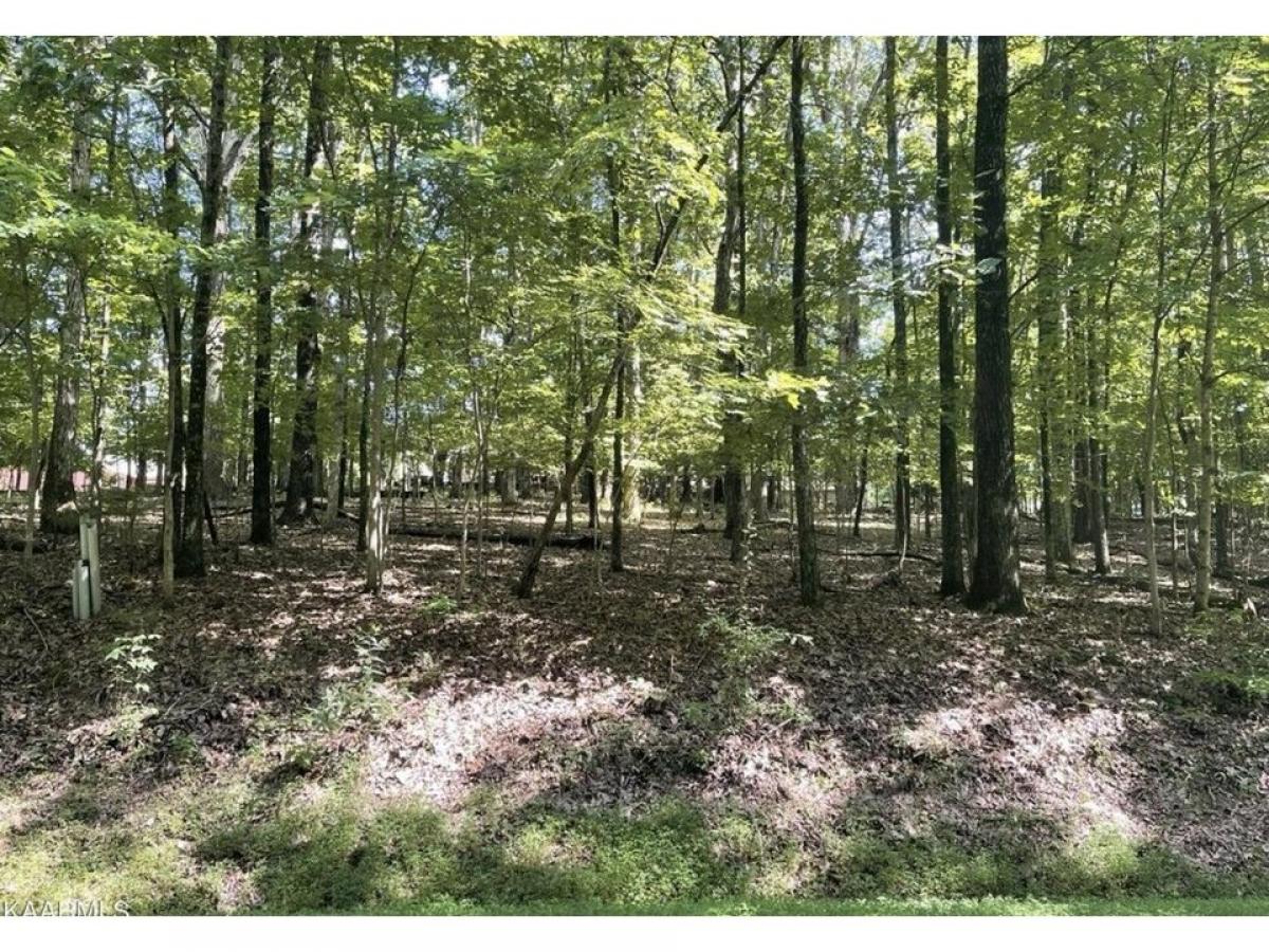 Picture of Residential Land For Sale in Loudon, Tennessee, United States