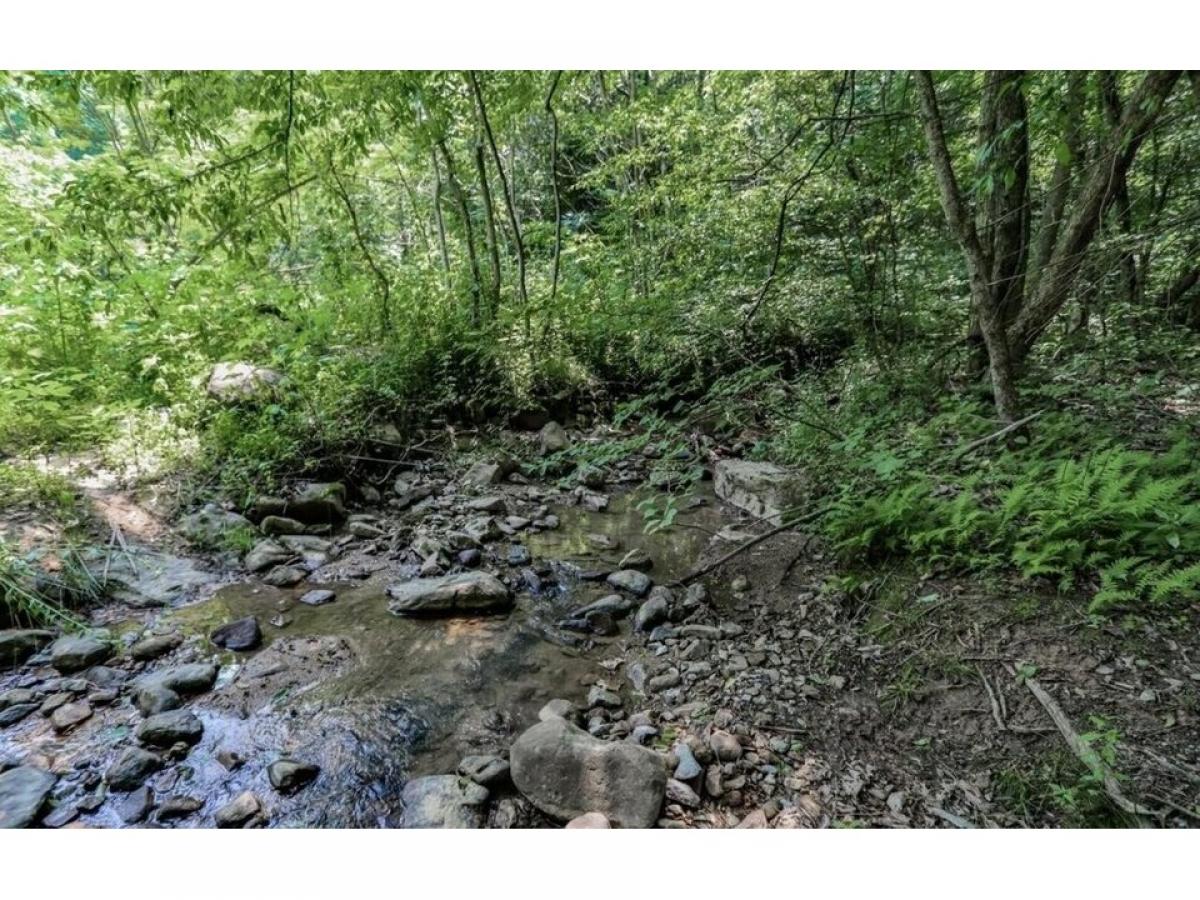 Picture of Residential Land For Sale in Cosby, Tennessee, United States