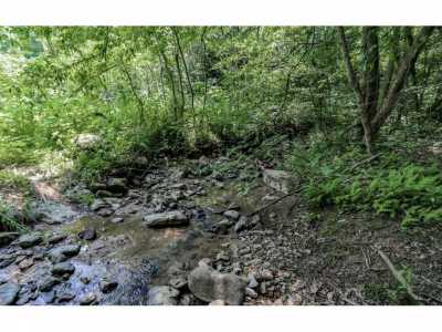 Residential Land For Sale in Cosby, Tennessee