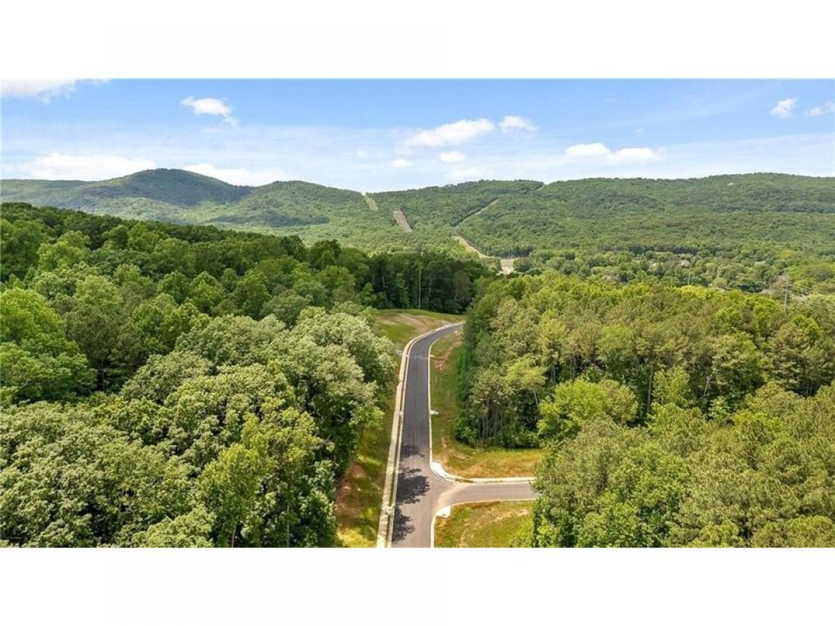 Picture of Residential Land For Sale in Dalton, Georgia, United States