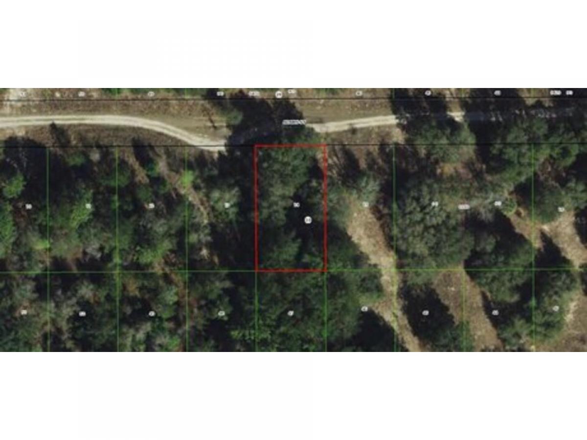 Picture of Residential Land For Sale in Inverness, Florida, United States