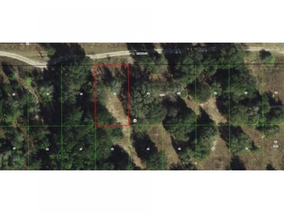 Picture of Residential Land For Sale in Inverness, Florida, United States