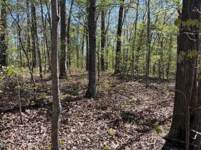 Residential Land For Sale in Rocky Face, Georgia