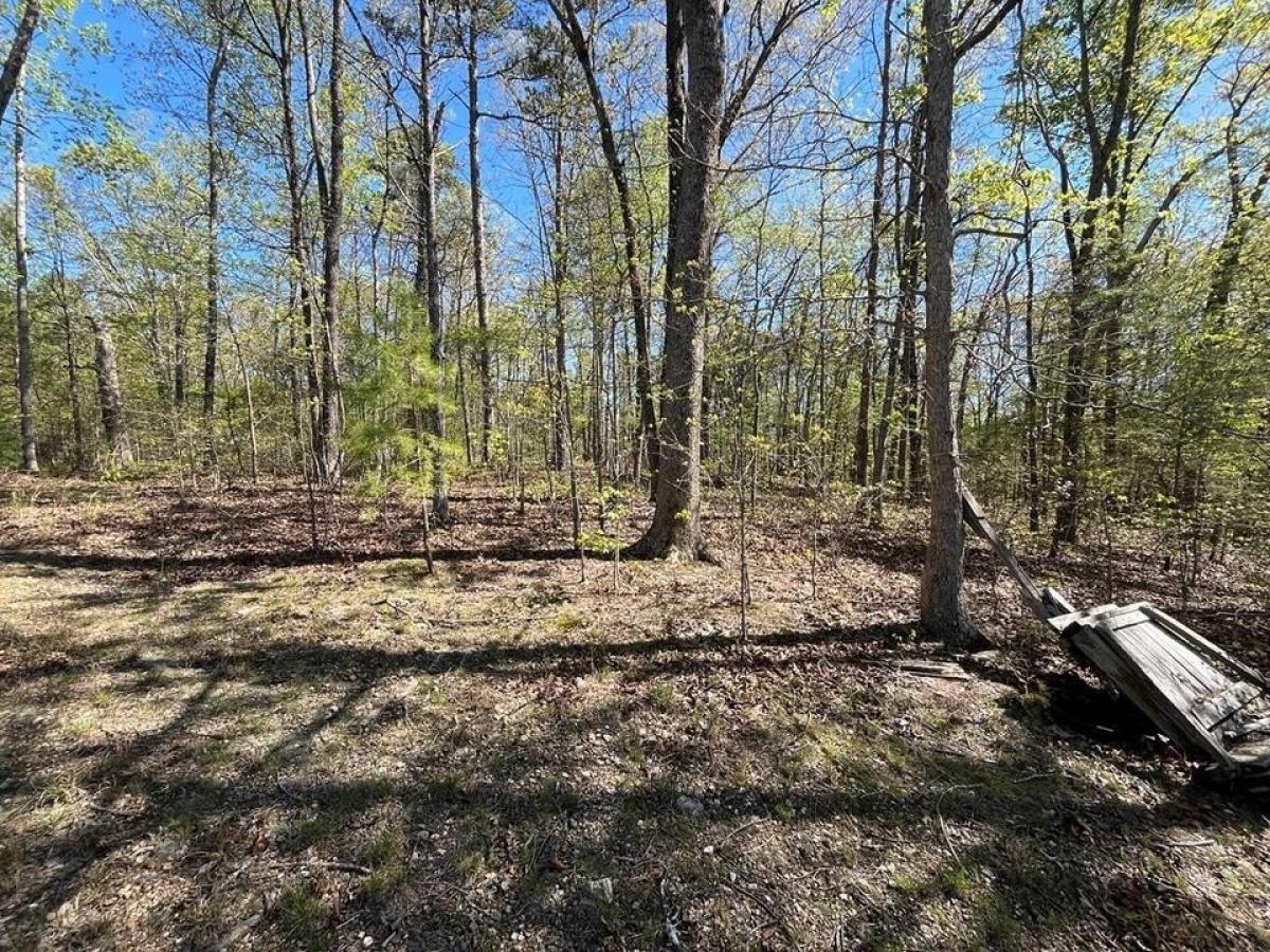 Picture of Residential Land For Sale in Rocky Face, Georgia, United States