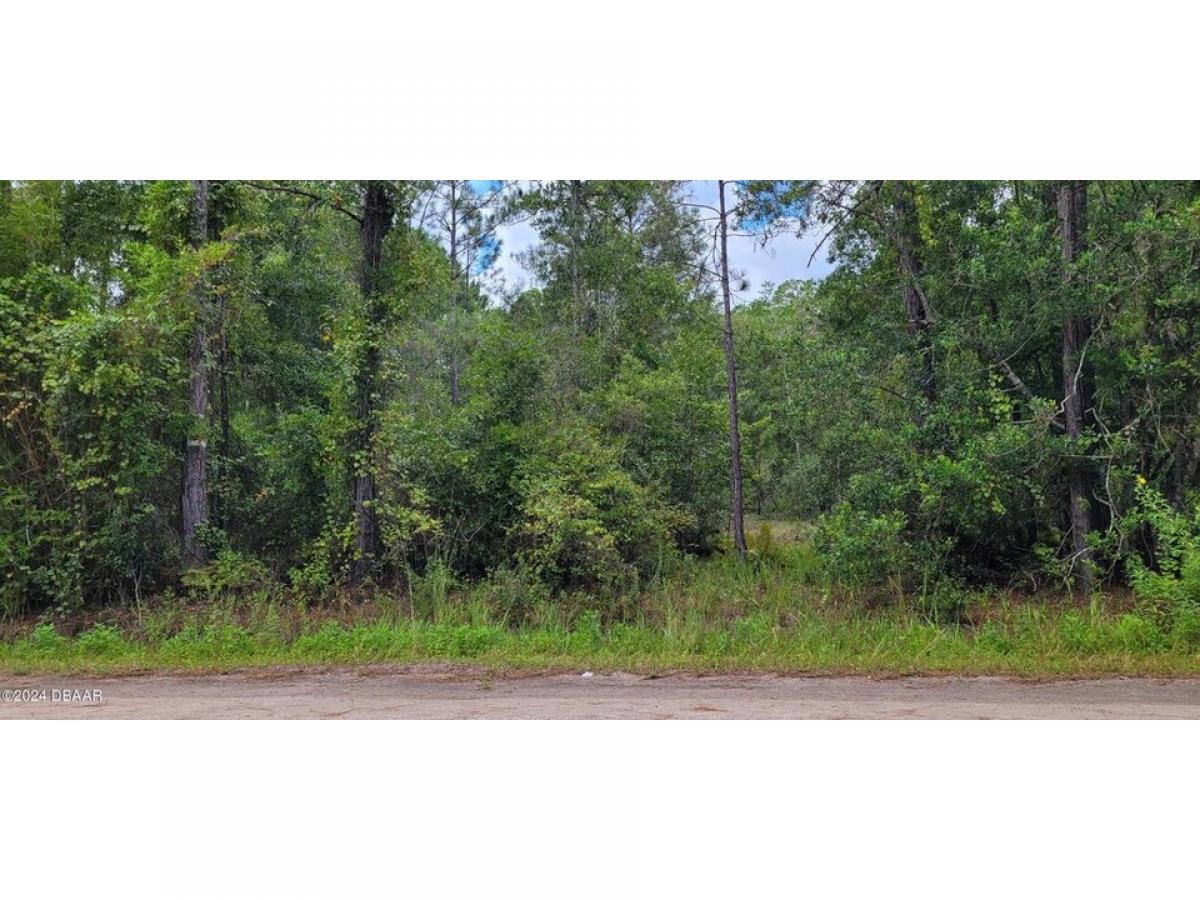 Picture of Residential Land For Sale in Bunnell, Florida, United States