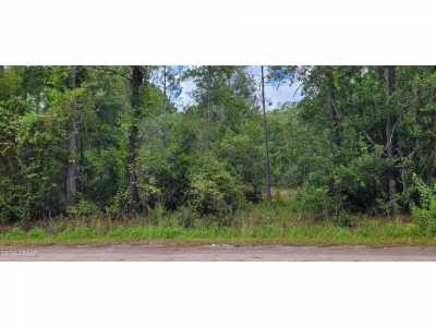 Residential Land For Sale in Bunnell, Florida