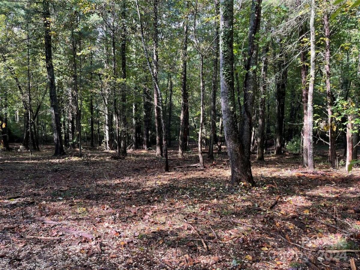 Picture of Residential Land For Sale in Hendersonville, North Carolina, United States