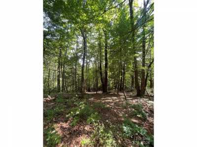 Residential Land For Sale in Flat Rock, North Carolina