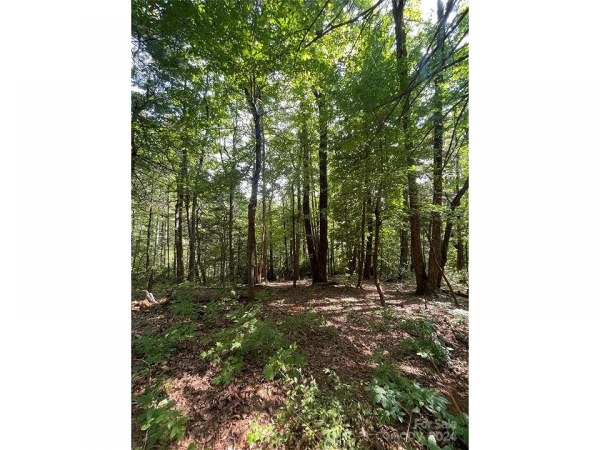 Picture of Residential Land For Sale in Flat Rock, North Carolina, United States