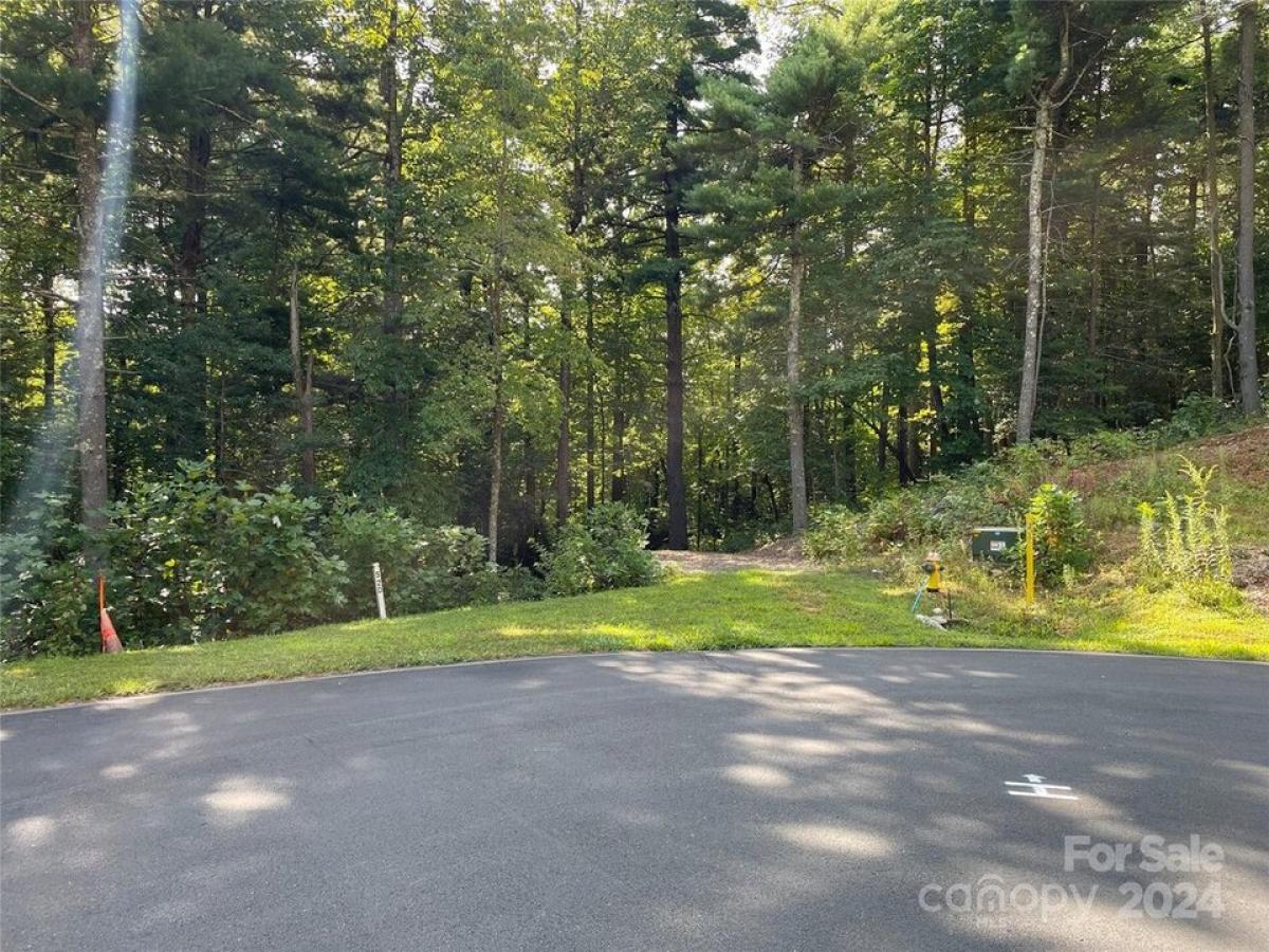 Picture of Residential Land For Sale in Flat Rock, North Carolina, United States