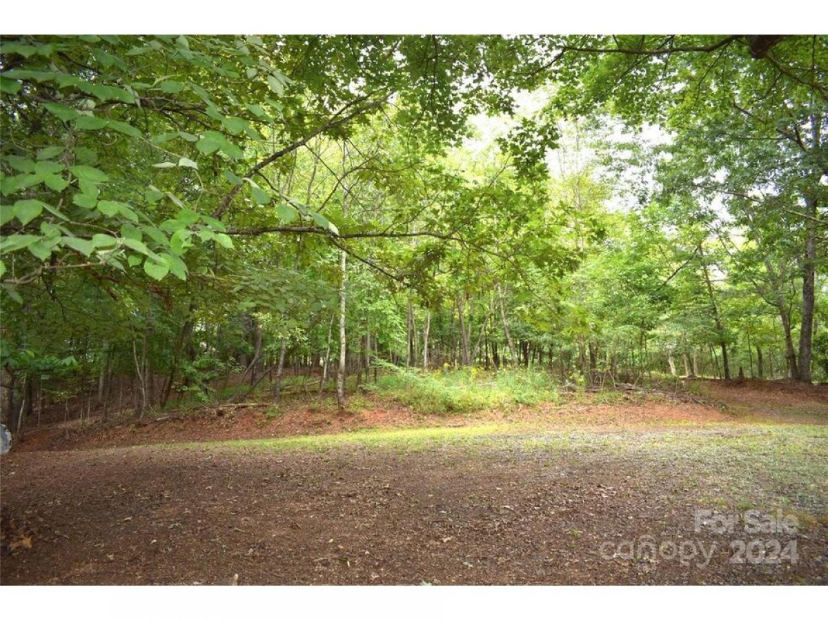 Picture of Residential Land For Sale in Lake Lure, North Carolina, United States