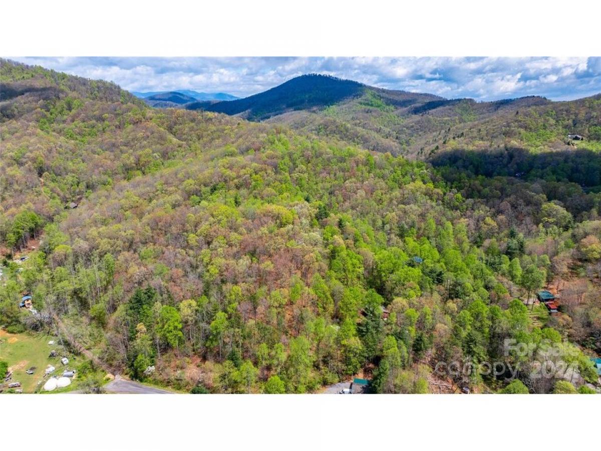 Picture of Residential Land For Sale in Fairview, North Carolina, United States