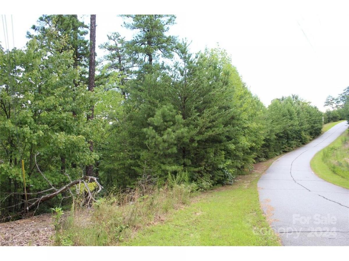 Picture of Residential Land For Sale in Bostic, North Carolina, United States