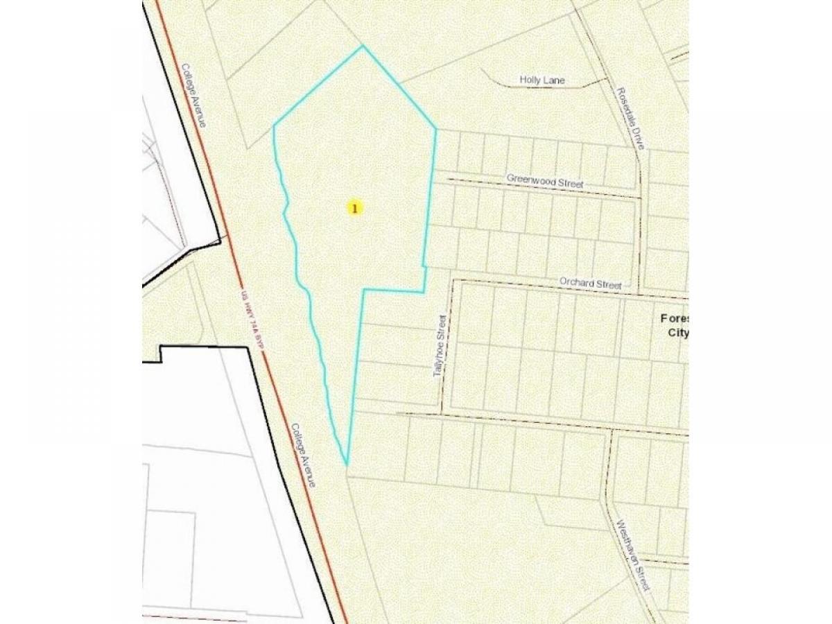 Picture of Residential Land For Sale in Forest City, North Carolina, United States