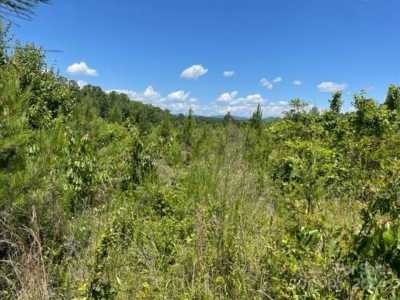 Residential Land For Sale in Rutherfordton, North Carolina