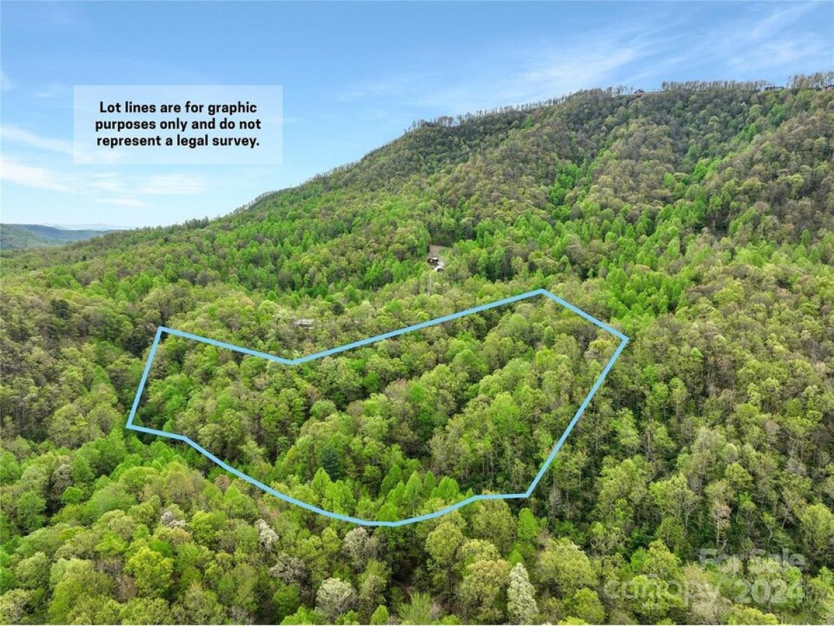 Picture of Residential Land For Sale in Black Mountain, North Carolina, United States