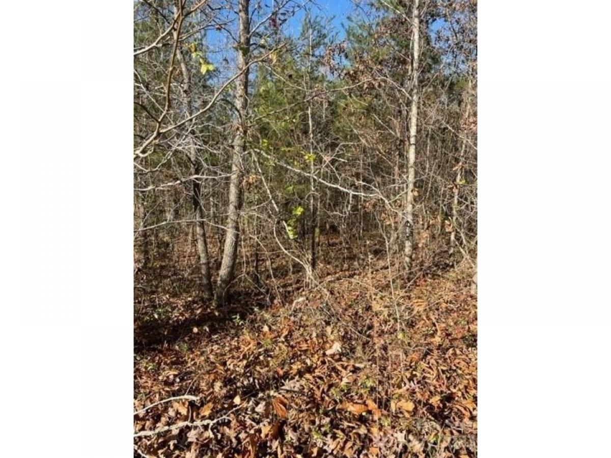 Picture of Residential Land For Sale in Rutherfordton, North Carolina, United States