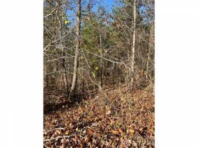 Residential Land For Sale in Rutherfordton, North Carolina