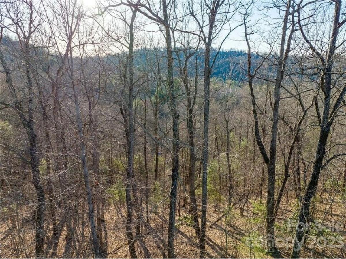 Picture of Residential Land For Sale in Hendersonville, North Carolina, United States