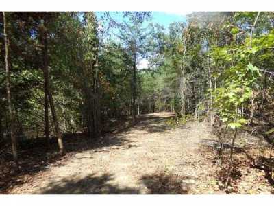 Residential Land For Sale in Trenton, Georgia