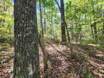 Residential Land For Sale in Mentone, Alabama