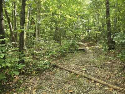 Residential Land For Sale in Pikeville, Tennessee