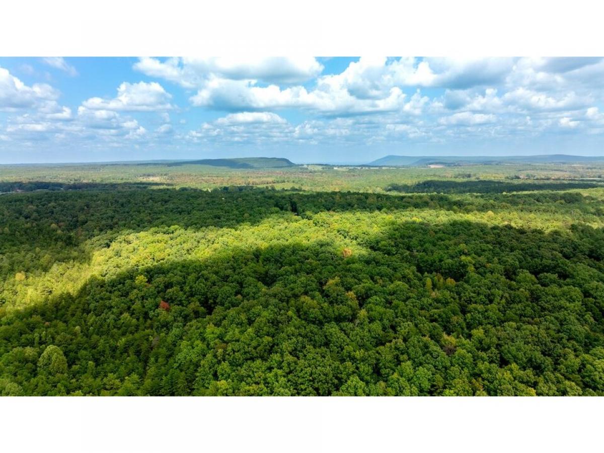 Picture of Residential Land For Sale in Menlo, Georgia, United States