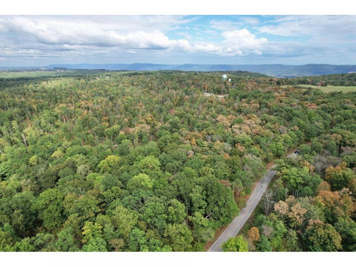 Picture of Residential Land For Sale in Pikeville, Tennessee, United States