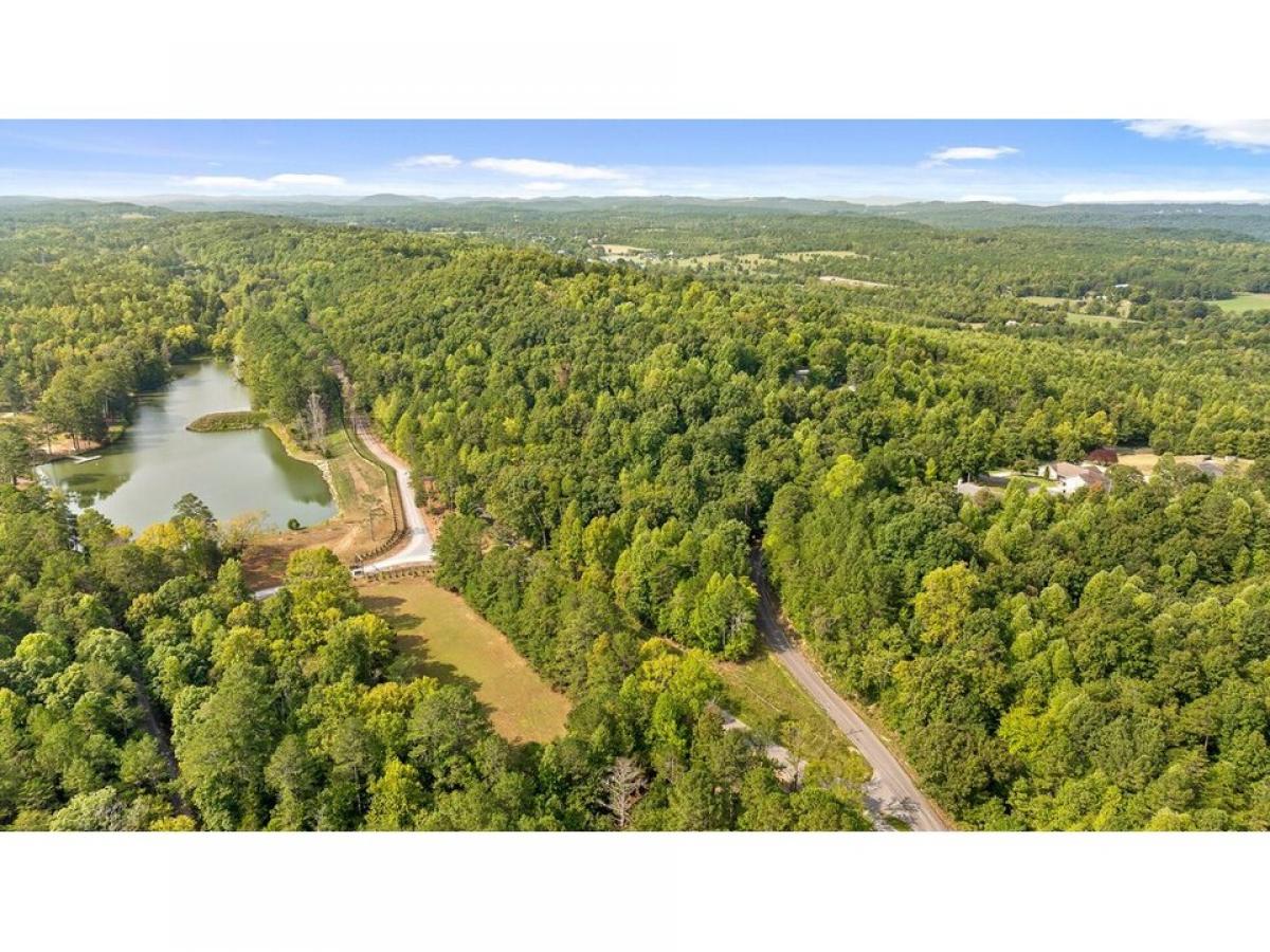 Picture of Residential Land For Sale in Mcdonald, Tennessee, United States