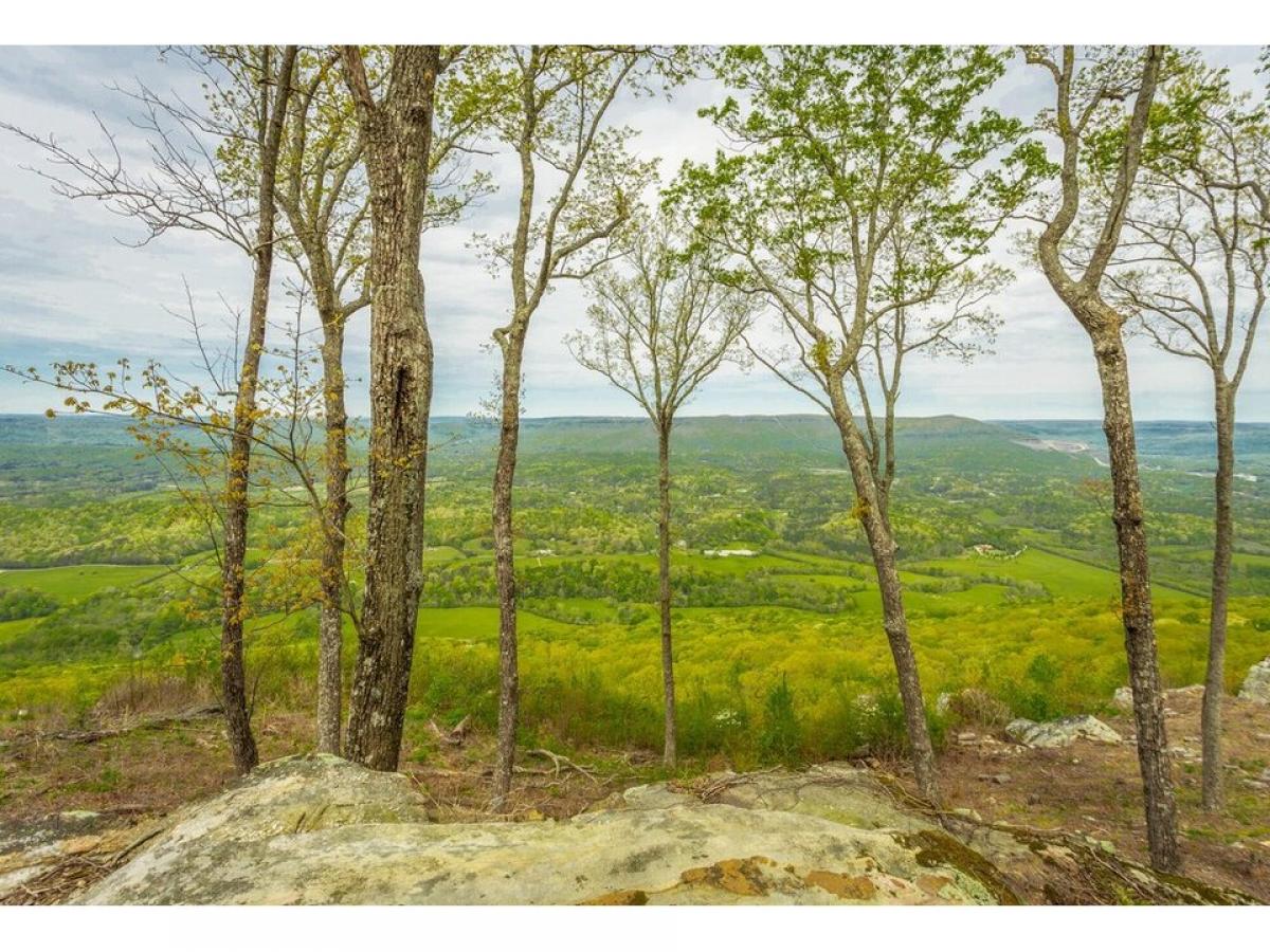 Picture of Residential Land For Sale in Lookout Mountain, Georgia, United States