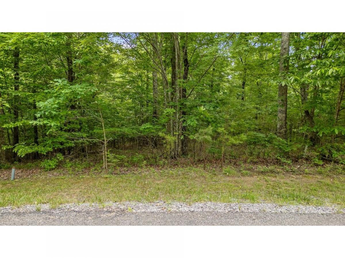 Picture of Residential Land For Sale in Dunlap, Tennessee, United States