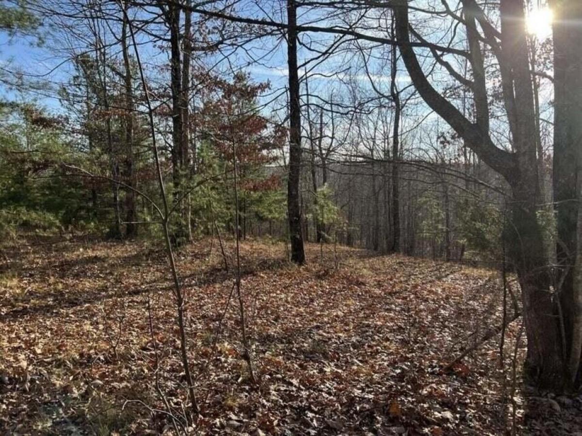 Picture of Residential Land For Sale in Dunlap, Tennessee, United States