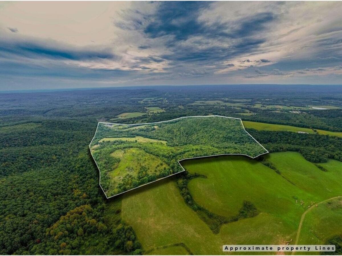 Picture of Home For Sale in Palmer, Tennessee, United States