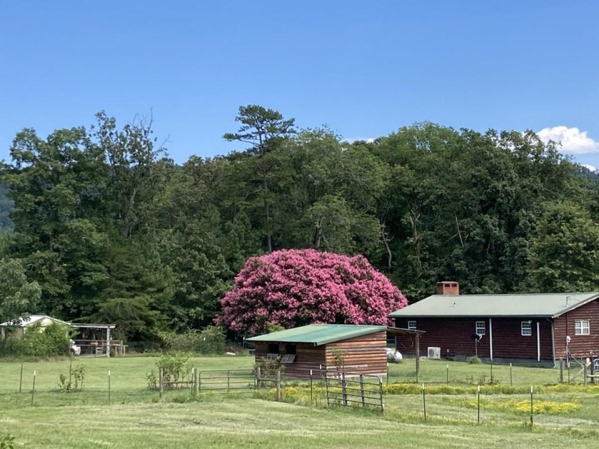 Picture of Home For Sale in Trion, Georgia, United States